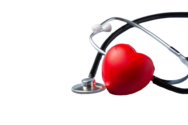 Heart